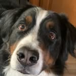 Doug Bloom - @douglas.bloom.3 - Instagram