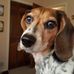 Doug Blythe - Facebook