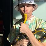 Douglas Bolin - @dougsreptiles - Instagram