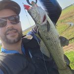 Douglas Boneberg - @douglasboneberg - Instagram