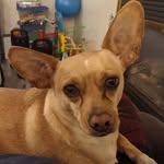 Douglas R Bone - @boneydut - Instagram