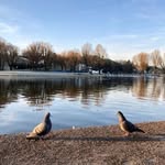 Douglas Borman - @douglas.borman - Instagram