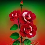 Douglas Boss - Facebook