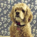 Douglas Bower - @dbower44022 - Instagram