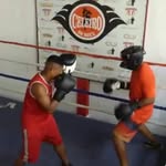 Douglas Guedes - @douglasboxefalcao - Instagram