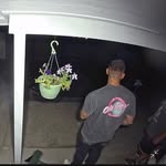 Austin Brant - @austin_douglas_brant - Instagram