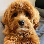 DouglasBrantley - @douglasbrantley1 - Instagram