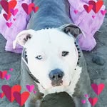 Douglas_family_farm_pnw.esa.line_breeding - @douglas_family_farm_2nd.gen - Instagram