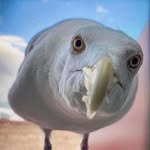 Douglas Brightman - @douglasbrightman - Instagram