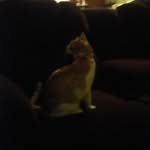 Douglas Brinker - @douglas.brinker.75 - Instagram