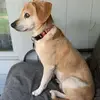 dougbrinkman - @dougbrinkman - TikTok