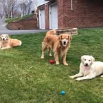 Douglas Buck - @buckyb75 - Instagram