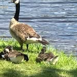 Douglas Buck - @douglas.buck.965 - Instagram