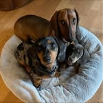 Douglas Buck - @buck_envy - Instagram