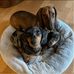 Douglas Buck - Facebook
