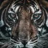 Douglas Burden - @douglas.burden1 - TikTok