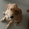 douglas burrell - @douglas.burrell - TikTok