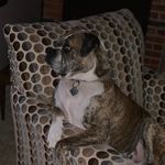 Douglas Byrd - @bulletdodger76 - Instagram