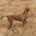 Douglas Byrd - Facebook