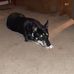 Doug Cheesman - Facebook