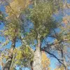 douglasmaeschen - @douglasmaeschen - TikTok