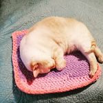 douglas*furbanks - @douglas_puffy_cloud_furbanks - Instagram