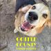 Douglas-Coffee County Animal Shelter - Facebook
