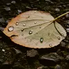 Douglas Ng’s Coffee Time - @douglas.coffeetime - TikTok