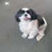 Doug Combs - Facebook