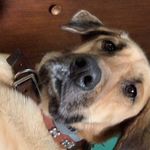 Doug Coneway Jr. - @douglas.coneway - Instagram