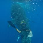 Douglas Cone - @douglas.cone - Instagram