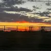 Doug - @douglascotney - TikTok