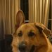 Douglas Conklin - Facebook