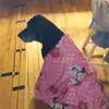 Douglas_conner - @dylanconner998 - TikTok