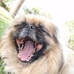 Douglas Conner - @douglas.conner.31 - Instagram