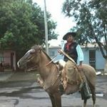 Douglas Conti - @douglas.conti - Instagram