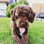 @douglas_cool - Instagram