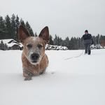 Corbin Douglas - @authorcorbindouglas - Instagram