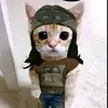Douglas Cormier - @douglascormier376 - TikTok