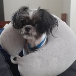douglas cormier - @milk_cretin - Instagram