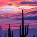 Doug Cottingham - Facebook