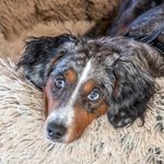 Douglas Croft - @douglascroftimages - Instagram