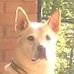 Doug Culver - Facebook