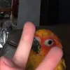 Douglas Culver - @douglasculver_6395 - TikTok