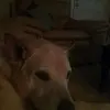 douglasculver - @douglasculver - TikTok