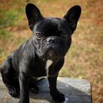 Douglas - @douglasdadon - Instagram