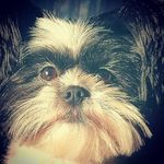 @douglasdadoge23 - Instagram