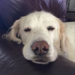Doug Danner - Facebook