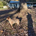 Douglas Dare Allen - @douglas.d.allen - Instagram
