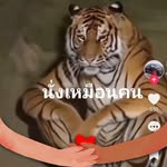 Douglas Davison - @douglasdavison4 - Instagram